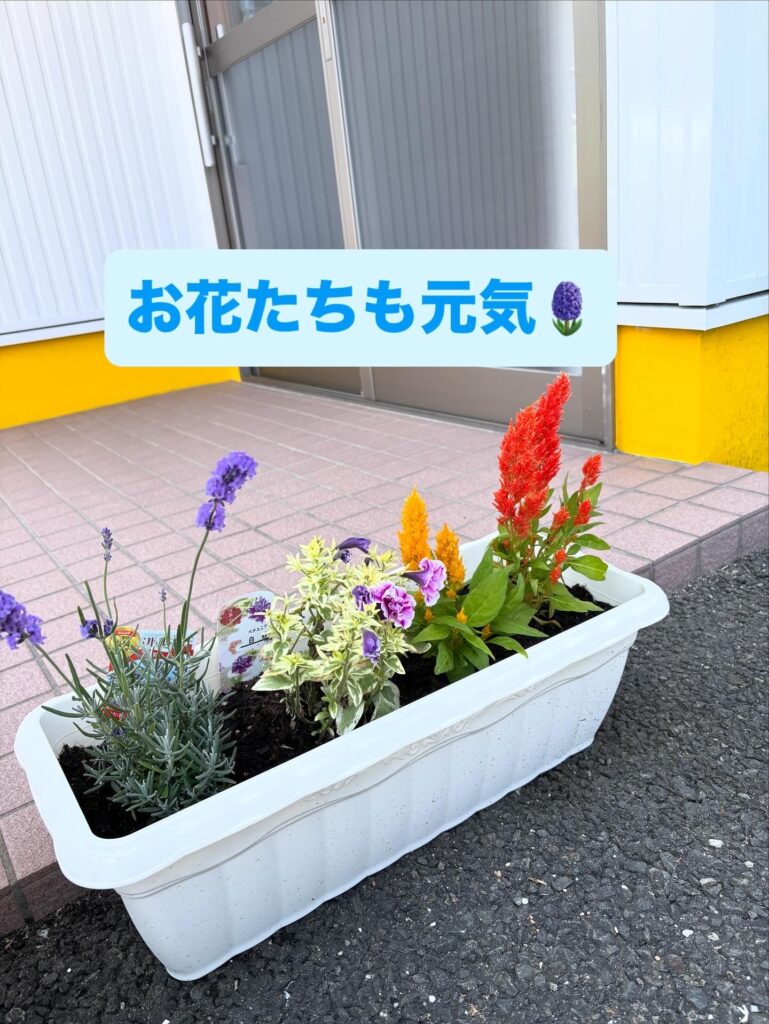 2025年6月園芸